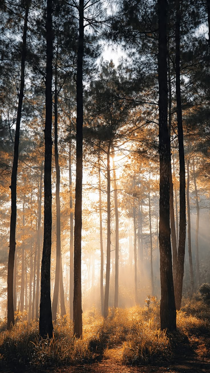 Environment